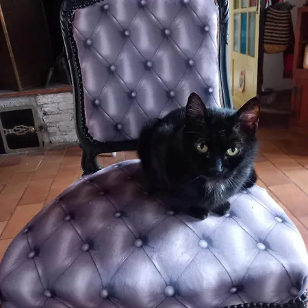 Oda ve Kahvaltı La Maison Aux Livres