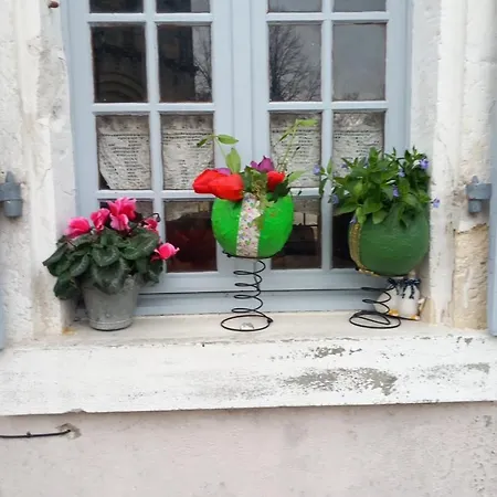 Bed and breakfast La Maison Aux Livres Rioux-Martin