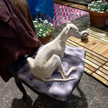 La Maison Aux Livres Oda ve Kahvaltı